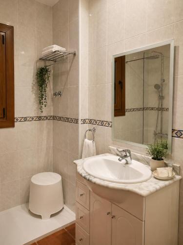 a bathroom with a sink and a toilet and a mirror at L'Albea Hotel Rural in Vall dʼAlba