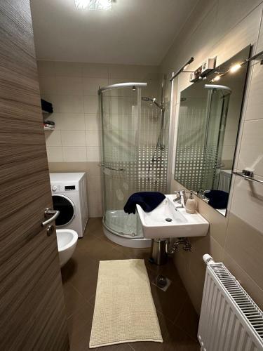a bathroom with a sink and a shower and a toilet at Sončna vila Bovec, Studio A&B in Bovec
