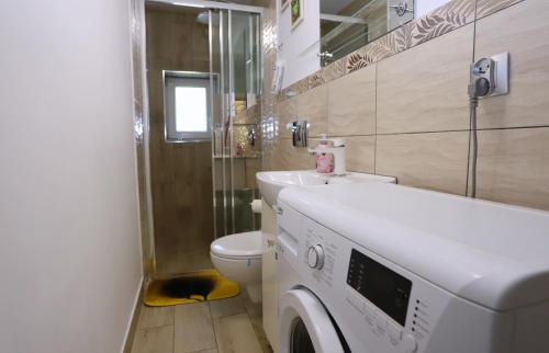 a bathroom with a washing machine and a toilet at Apartament pod Osówką in Głuszyca
