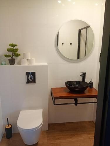 a bathroom with a sink and a toilet and a mirror at Palomino pokoje agroturystyka in Świnoujście