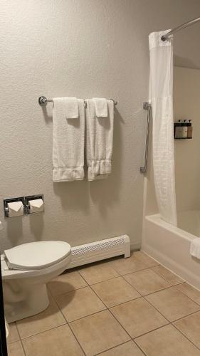 a bathroom with a toilet and a shower and towels at The Antler Lodge - Gardiner in Gardiner