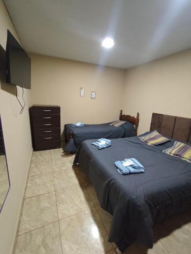 a room with two beds and a tv in it at Hospedaje Gabriel in Yapeyú
