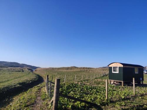 a tiny house in the middle of a field at Bothan na Mara in Valtos