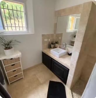 a bathroom with a sink and a mirror at La louva in Les Brugassières
