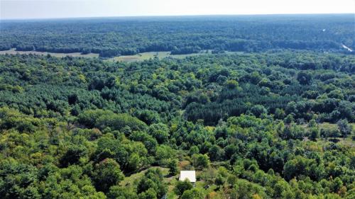 an aerial view of a forest of trees at Longview Spectacular Forest Views on 88 Acres in Westport