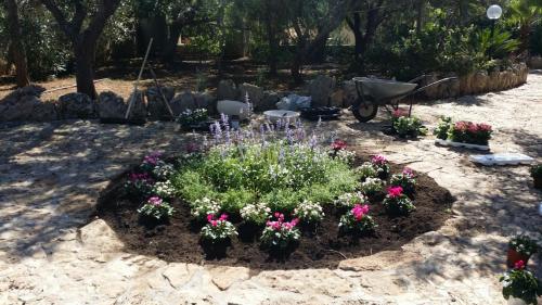 a garden with flowers and a wheelbarrow at Agriturismo Tenuta La Siesta in Gallipoli