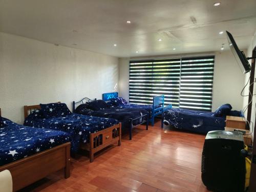 a room with four beds and a large window at Hostal Fernanda in Santa Cruz