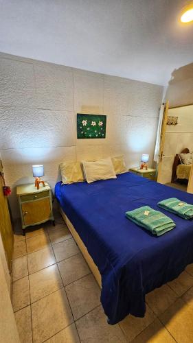 a bedroom with a large blue bed with two tables at Hospedaje SUEÑO URBANO in Córdoba