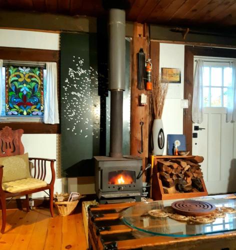 a living room with a stove and a fireplace at Le Temps Perdu in Westport