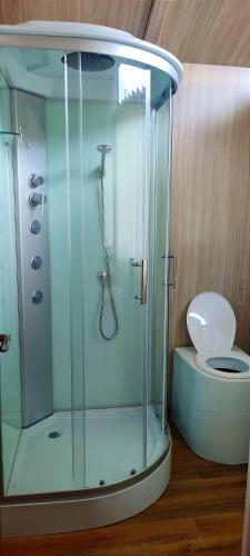 a bathroom with a shower and a toilet at Los uros Isla atardecer in Puno