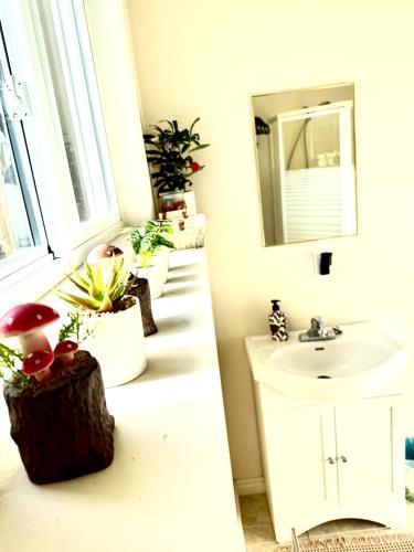 a bathroom with a sink and a mirror and potted plants at Room in niagara falls Pluto studio in Niagara Falls