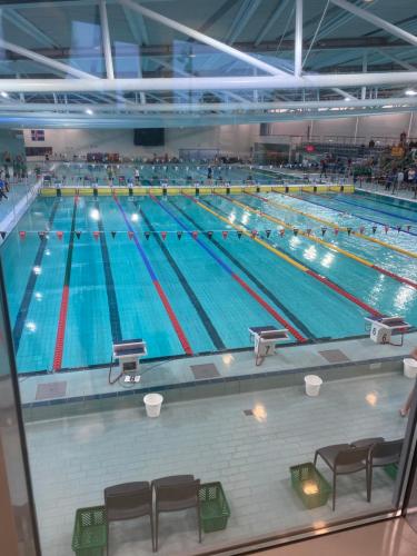 a large swimming pool in a large building at Eskias2 in Garðabær