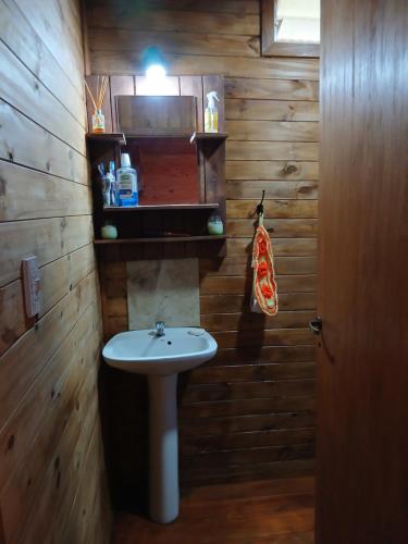a bathroom with a white sink and wooden walls at Rincón Entrerriano in Concepción del Uruguay