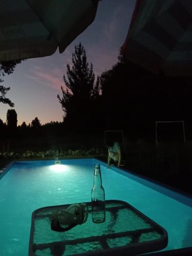 a bottle of wine and a glass sitting next to a swimming pool at Refugio El Rocio lodge tinaja,piscina,bosque in Nacimiento