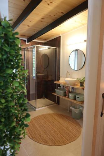 a bathroom with a shower and a sink at Amoré Cabin in Ocean View