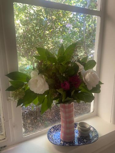 a vase filled with flowers in a window at Birchmoore Studio in Penola