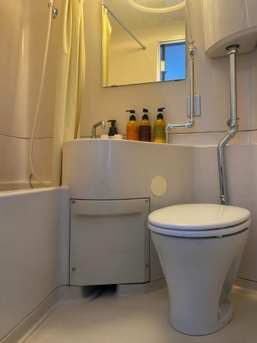 ein Badezimmer mit Toilette, Waschbecken und Spiegel in der Unterkunft MUST WIN Hotel in Takasaki