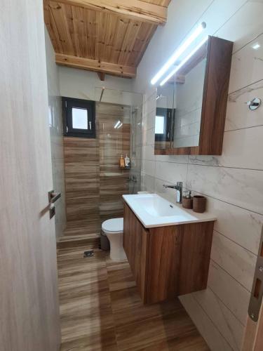 a bathroom with a sink and a toilet at Οκά & δράμι in Kaléntzion