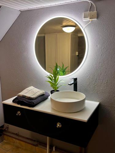 a bathroom with a sink and a mirror at Cozy apartment in Drammen
