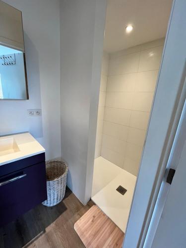 a bathroom with a shower and a sink at Le Cosy Duplex in Amay