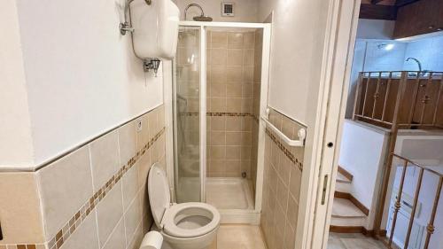 a bathroom with a toilet and a shower at La cassetta 22 in Castelnuovo dellʼAbate