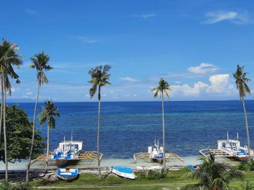 a group of boats on a beach with palm trees at Stanley House Seaview Apartments in Panglao Island