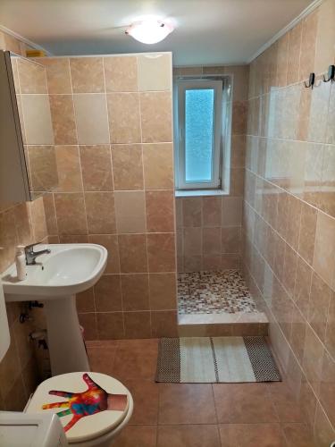 a bathroom with a shower and a toilet and a sink at Casa Cami in Jurilovca