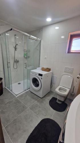 a bathroom with a washing machine and a toilet at Apartment LAURA in Žilina