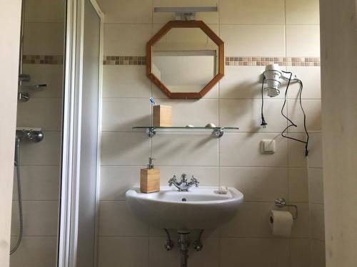 a bathroom with a sink and a mirror at Alte Schule Nausdorf in Lenzen