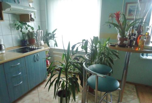 una cocina con un montón de plantas, una mesa y sillas en Puikus apartamentai en Alytus