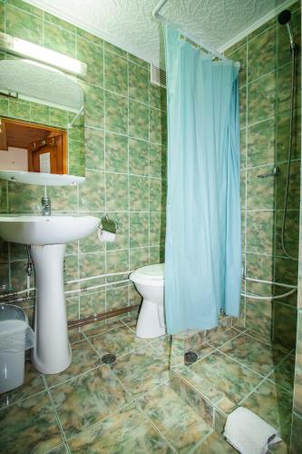 a bathroom with a sink and a toilet and a shower at Pensiunea HEIDI in Vartop