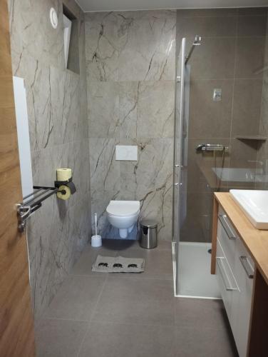 a bathroom with a shower and a toilet in it at POČITNIŠKA HIŠA Jan in Mišji Dol