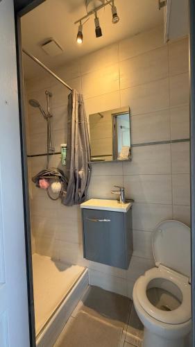 a bathroom with a toilet and a sink and a mirror at Mini studio et espace extérieur in Méry-sur-Oise