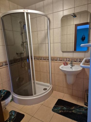 a bathroom with a shower and a sink at Endurance in Krośnica