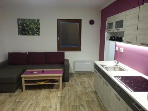 salon z kanapą i kuchnią w obiekcie Apartmany Podhorama w mieście Vaclavov u Bruntalu