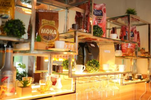 a display of plants on shelves in a store at Apihap Hotel Daraga Albay in Locsin