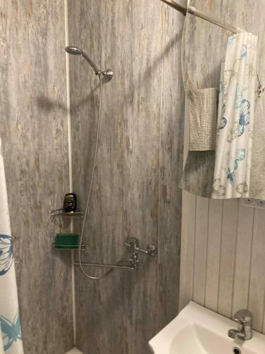 a bathroom with a shower with a toilet and a sink at Našio Kempingo Apartamentai in Antanaše