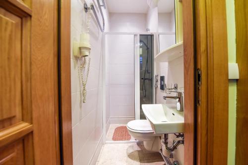 a bathroom with a shower and a toilet and a sink at Saulės Krantas in Palanga