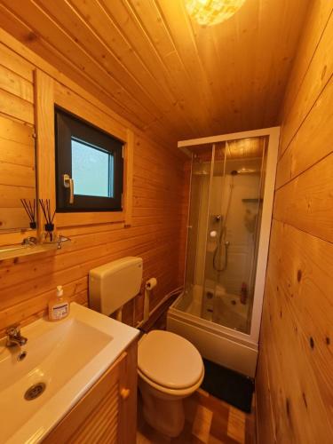 a bathroom with a toilet and a shower and a sink at RED Tiny Houses in Voronet