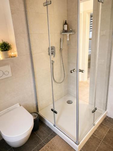 a bathroom with a shower and a toilet at Inselheimat Dranske in Dranske