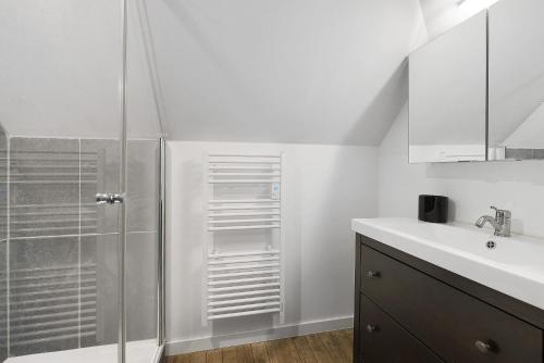 a bathroom with a shower and a sink at Bulle de Douceur avec Spa in Vallons-de-l'Erdre