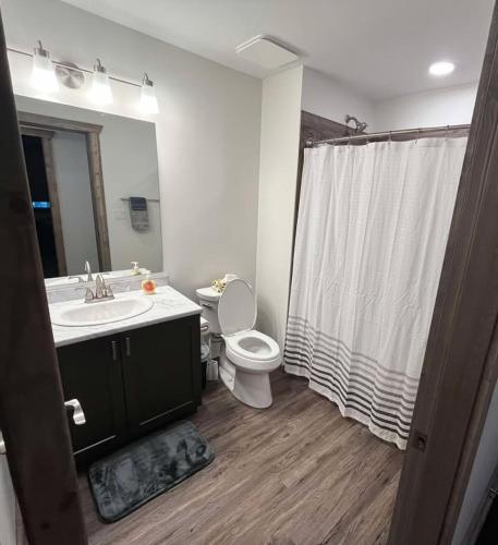 a bathroom with a sink and a toilet and a shower at Elk Horn Cabin Rental in Valemount