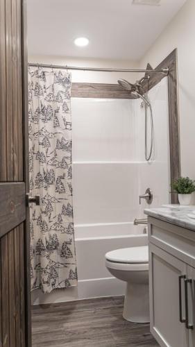 a bathroom with a toilet and a shower curtain at The Highmark Cabin in Valemount