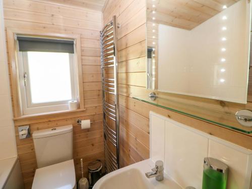 a bathroom with a sink and a toilet and a mirror at Dovestone Luxury Lodges sleeps 6 - pet free in Oldham