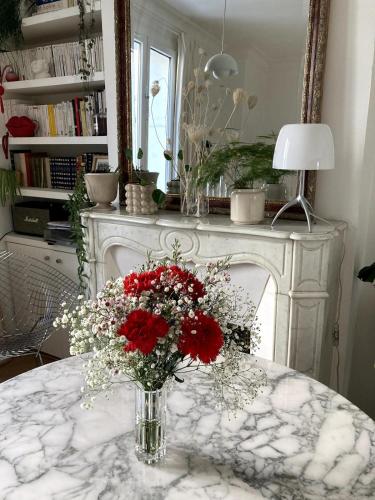 Lovely parisian flat in Montmartre