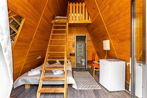 a ladder in a cabin with a bunk bed at Casute A frame in Jiblea Veche