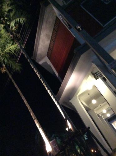 a building at night with a palm tree in front of it at Amaretto Hostel in Surat Thani