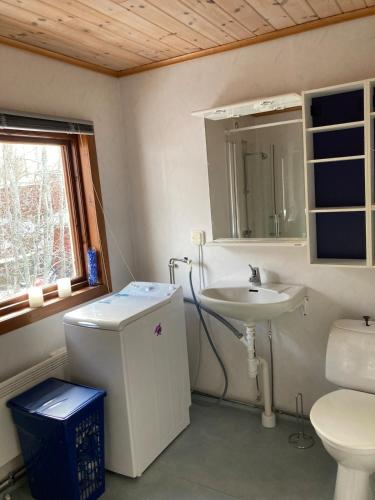 a bathroom with a toilet and a sink at Hemsö Hideaway in Kojbacken