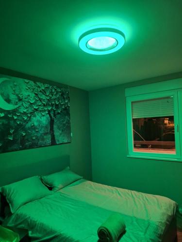 a bedroom with a bed and a green ceiling at Golubac Bay Apartment in Golubac