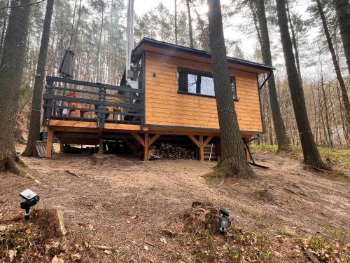 a tree house in the middle of a forest at Kaszuby Mały Domek in Potuły